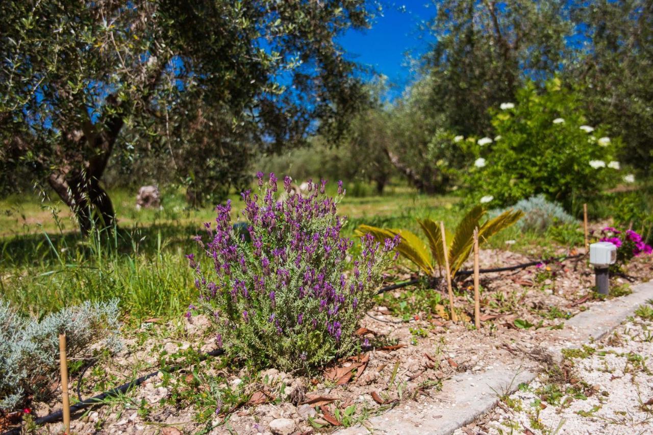 Bed and Breakfast Agriturismo Biologico Piccapane Кутрофьяно Экстерьер фото